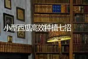 小型西瓜高效种植七招