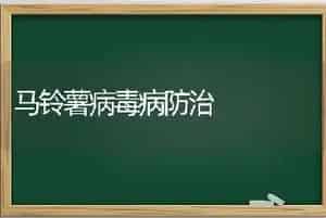 马铃薯病毒病防治