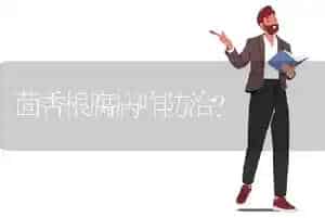 棉花吐絮期田管五要点