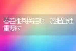 春茬棚菜换茬期 施肥管理重要时