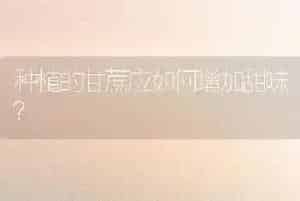 种植的甘蔗应如何增加甜味?