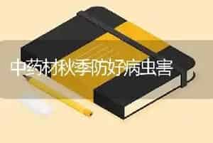 中药材秋季防好病虫害