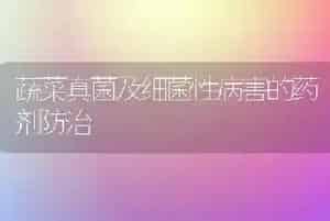 蔬菜真菌及细菌性病害的药剂防治