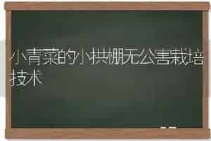 小青菜的小拱棚无公害栽培技术