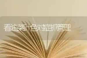看油菜叶色对症抓管理
