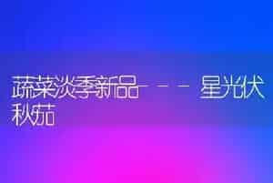 蔬菜淡季新品---星光伏秋茄