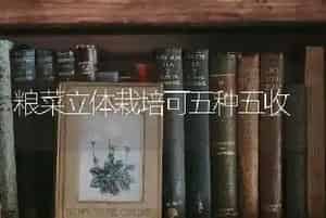 粮菜立体栽培可五种五收
