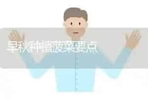 早秋种植菠菜要点
