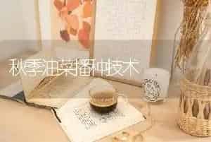 秋季油菜播种技术