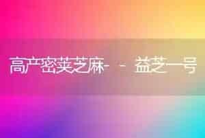 高产密荚芝麻--益芝一号