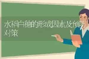 水稻白穗的形成因素及预防对策