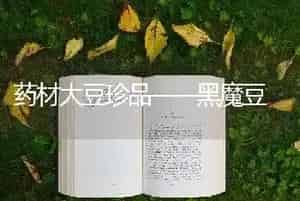 药材大豆珍品——黑魔豆