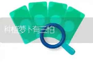 种植萝卜有三怕