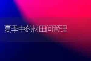 夏季中药材田间管理