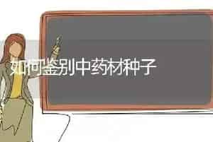 如何鉴别中药材种子