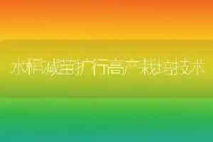 水稻减苗扩行高产栽培技术