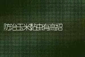防治玉米黏虫有高招
