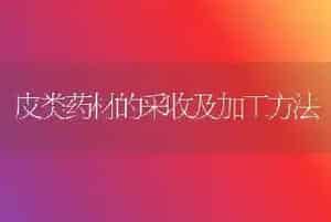 皮类药材的采收及加工方法