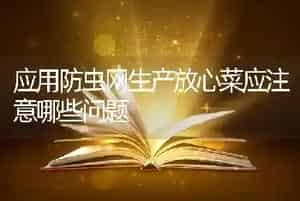 应用防虫网生产放心菜应注意哪些问题