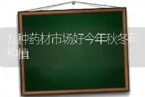 九种药材市场好今年秋冬可种植