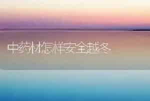 中药材怎样安全越冬