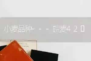 小麦品种---皖麦42