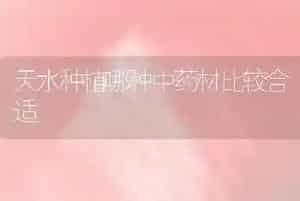 天水种植哪种中药材比较合适