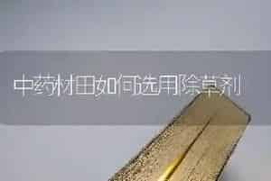 中药材田如何选用除草剂