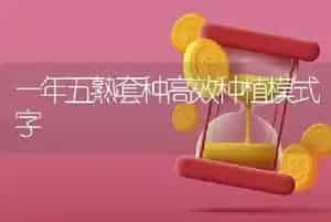 一年五熟套种高效种植模式字