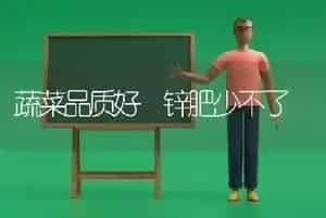 蔬菜品质好 锌肥少不了