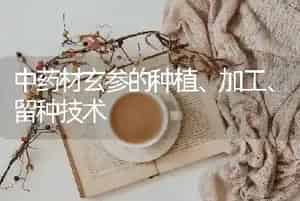 中药材玄参的种植、加工、留种技术