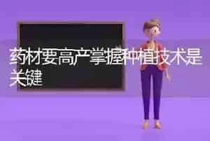 药材要高产掌握种植技术是关键