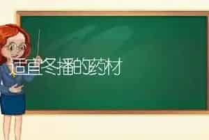 适宜冬播的药材