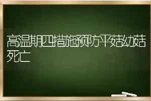 高温期四措施预防平菇幼菇死亡