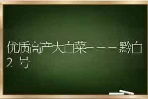 优质高产大白菜---黔白2号