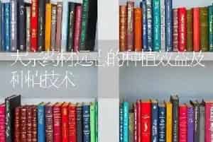 大宗药材远志的种植效益及种植技术