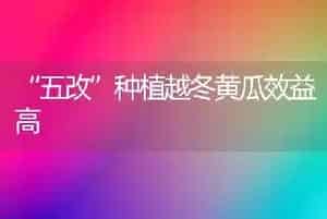 “五改”种植越冬黄瓜效益高