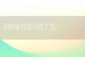种药材如何选土质