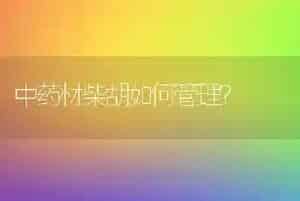 中药材柴胡如何管理?