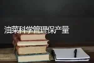 油菜科学管理保产量