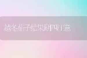 秋冬季节中药材管理要点