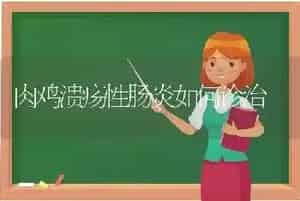 夏菜秧苗徒长怎样防