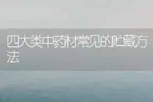 四大类中药材常见的贮藏方法