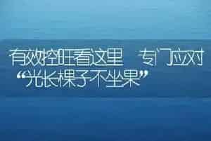 中药材越夏生产预警及管理