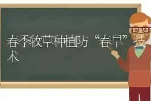 春季牧草种植防“春旱”技术