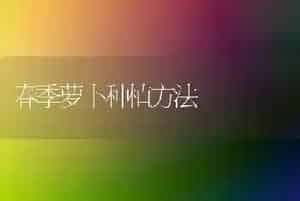 春季萝卜种植方法