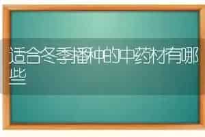 适合冬季播种的中药材有哪些