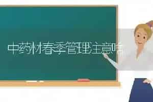 中药材春季管理注意啥