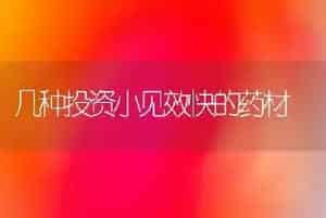 几种投资小见效快的药材