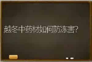 越冬中药材如何防冻害?